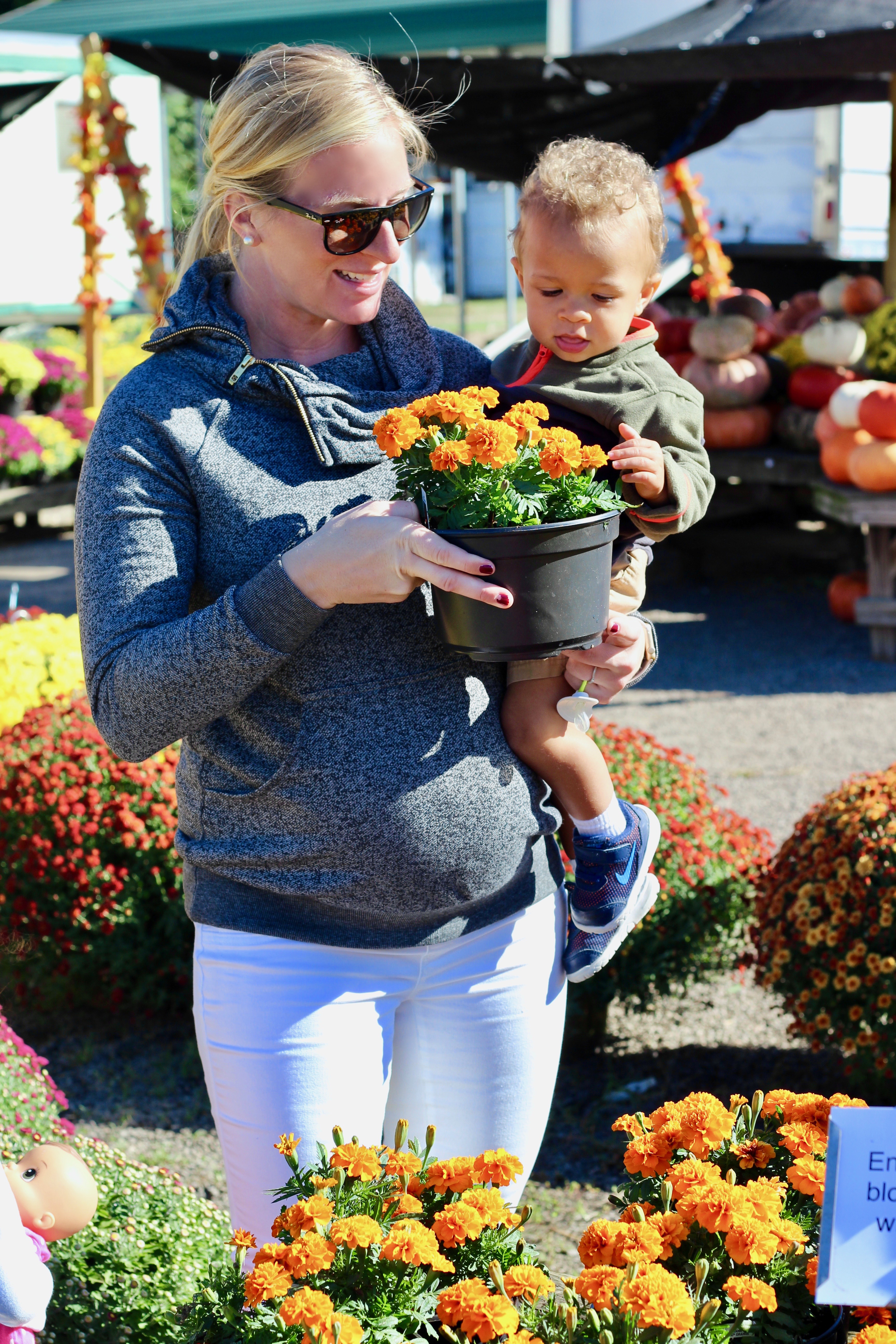 kimi and kai maternity sweater